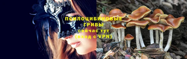 первитин Лагань