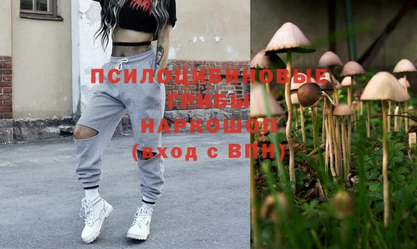 прущая мука Лабытнанги